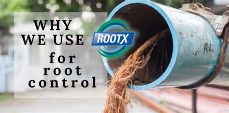 rootx root control